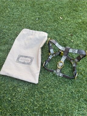 Gucci Pet Harness with Gold Hardware